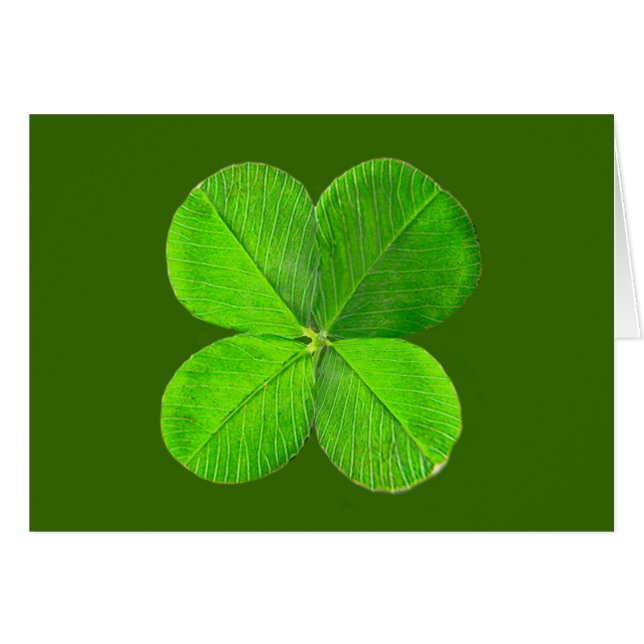 Four Leaf Clover The MUSEUM Zazzle Gifts (Front Horizontal)