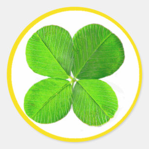 Four Leaf Clover The MUSEUM Zazzle Gifts Classic Round Sticker