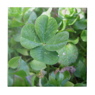 Four Leaf Clover Tile