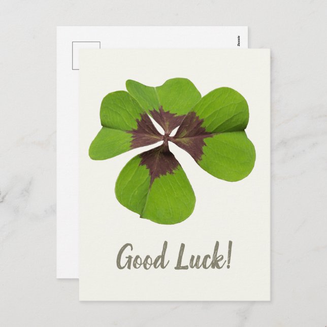 Four Leaf Lucky Clover St Patricks Day Good Luck Holiday Postcard (Front/Back)