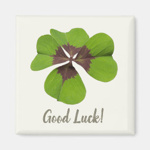 Four Leaf Lucky Clover St Patricks Day Good Luck Magnet