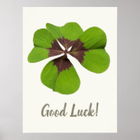 Four Leaf Lucky Clover St Patricks Day Good Luck