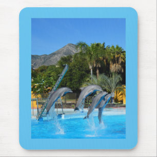 Four leaping dolphins mouse pad
