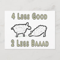 Four Legs Good Funny Sheep Pun