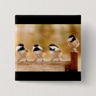 Four little chickadees 15 cm square badge