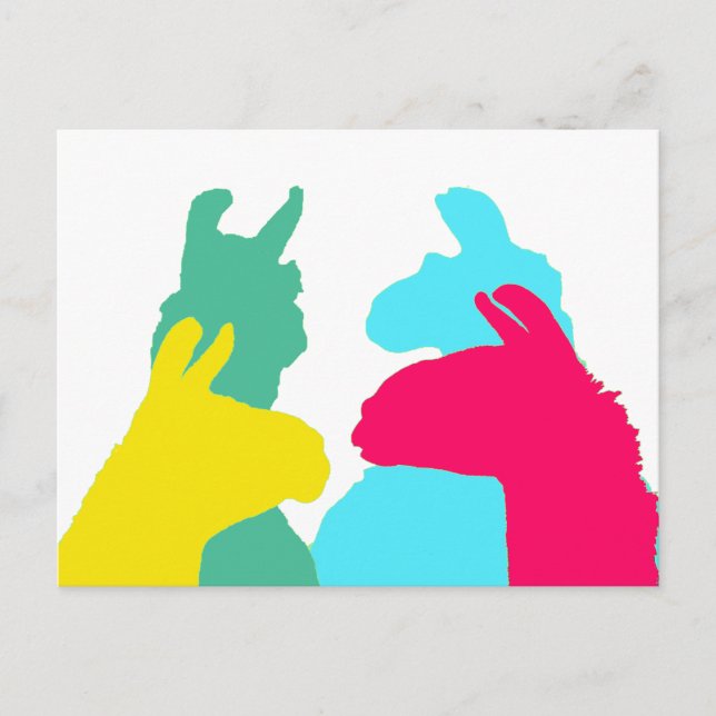Four Llamas in Four Llama Colours - A Bold Graphic Postcard (Front)