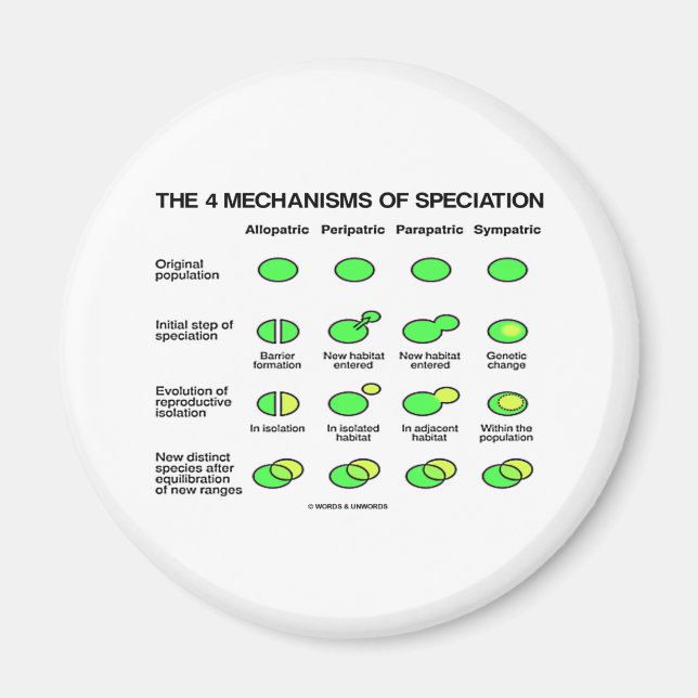Four Mechanisms Of Speciation (Evolution) Magnet (Front)