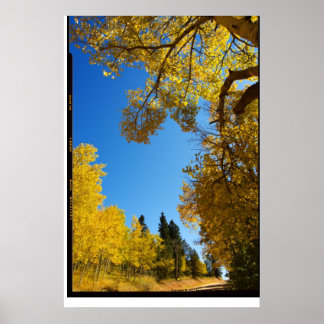 Four Mile Road, Cripple Creek, Colorado Poster