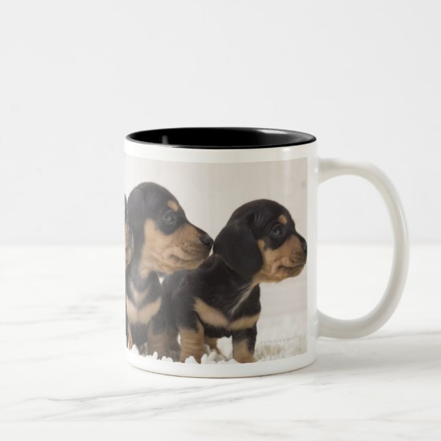 Four Mini Dachshund Two-Tone Coffee Mug (Right)