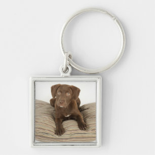 Four-Month-Old Chocolate Lab Puppy on Pillow Key Ring