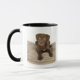 Four-Month-Old Chocolate Lab Puppy on Pillow Mug
