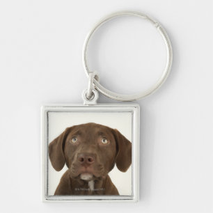 Four-Month-Old Chocolate Lab Puppy Portrait Key Ring