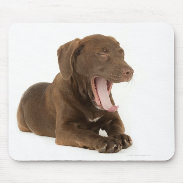 Four-Month-Old Chocolate Lab Puppy Yawning Mouse Pad (Front)