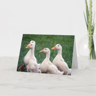 Four of a Kind, Ducklings Card
