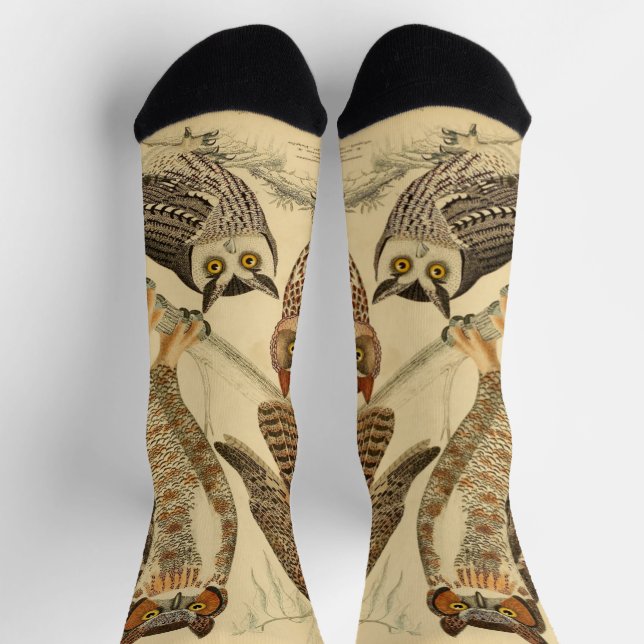 Four owls illustration socks (Top)