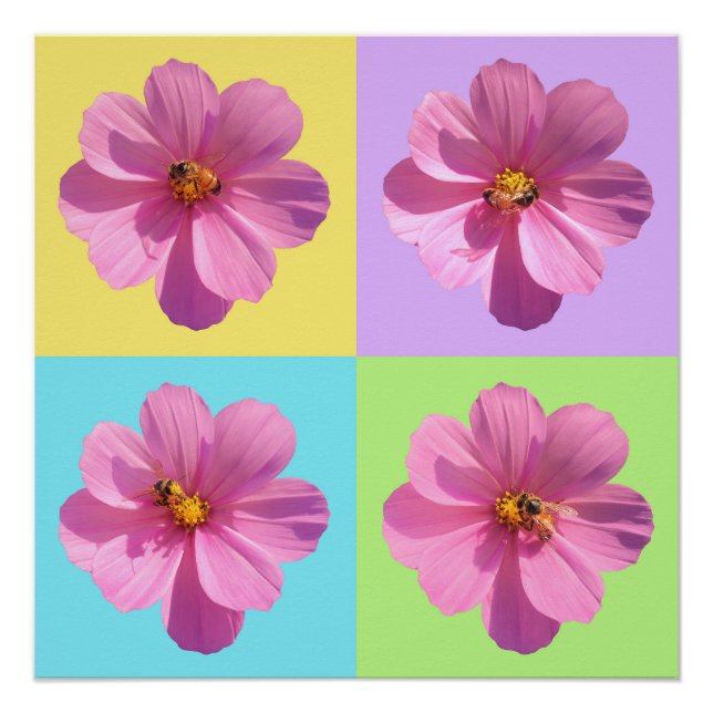 Four-Panel Cosmos Flowers with Honeybee Poster (Front)