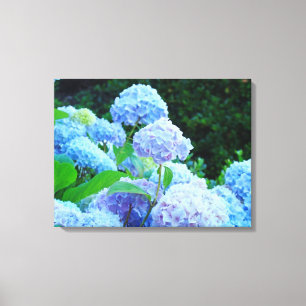 Four Panle Canvas nature prints Blue Hydrangeas