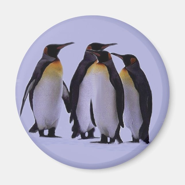 Four Penguins Magnet (Front)