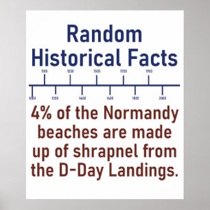 Four Percent Of The Normandy Beaches  - History Fa Poster