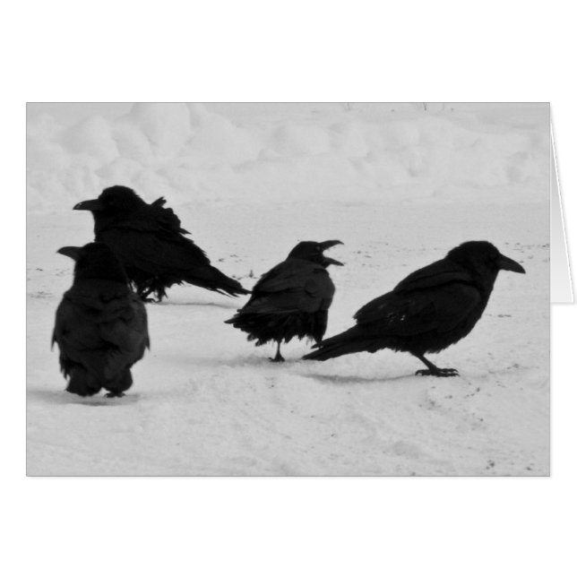 Four Ravens (Front Horizontal)