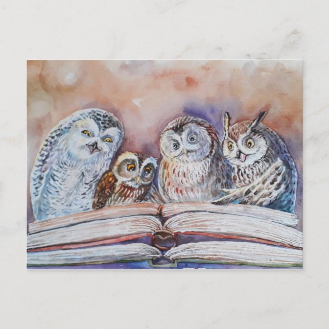 Four reading owls postcard (Front)