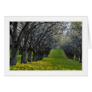 four seasons in michigan 02 card