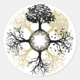Four Seasons of a Tree Classic Round Sticker