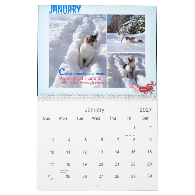 Four Seasons of Cat Wisdom 101 Calendar (Jan 2027)