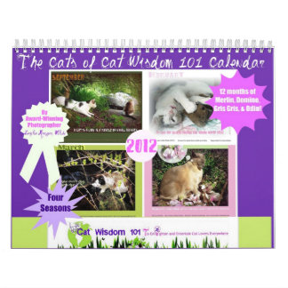 Four Seasons of Cat Wisdom 101 Calendar