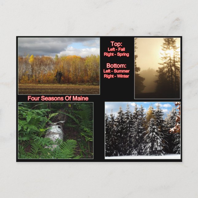 Four Seasons Of Maine Postcard (Front)