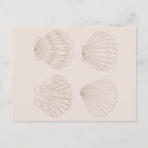 Four Shells Postcard