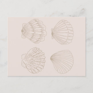 Four Shells Postcard