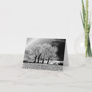 Four Sisters Card