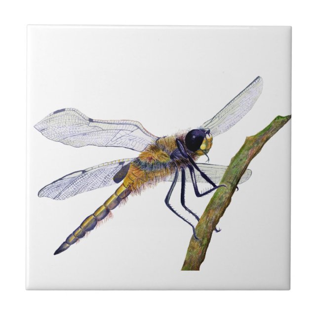 Four Spotted Dragonfly Watercolour Artwork Ceramic Tile (Front)