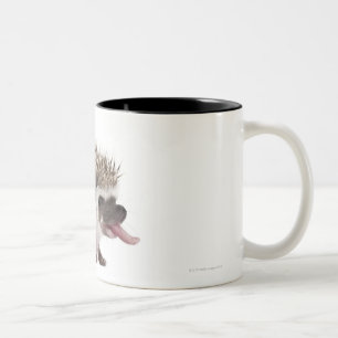 Four-toed Hedgehog - Atelerix albiventris Two-Tone Coffee Mug