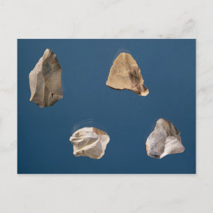 Four tools, 35000-10000 BC Postcard