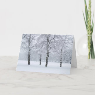 Four trees holiday card