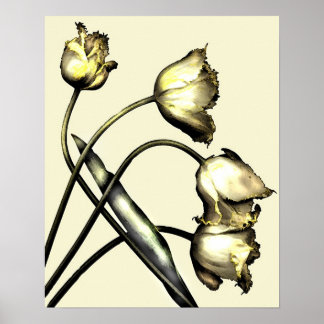 Four tulips No 2 Poster