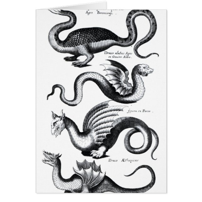 Four types of dragon (Front)