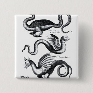 Four types of dragon 15 cm square badge
