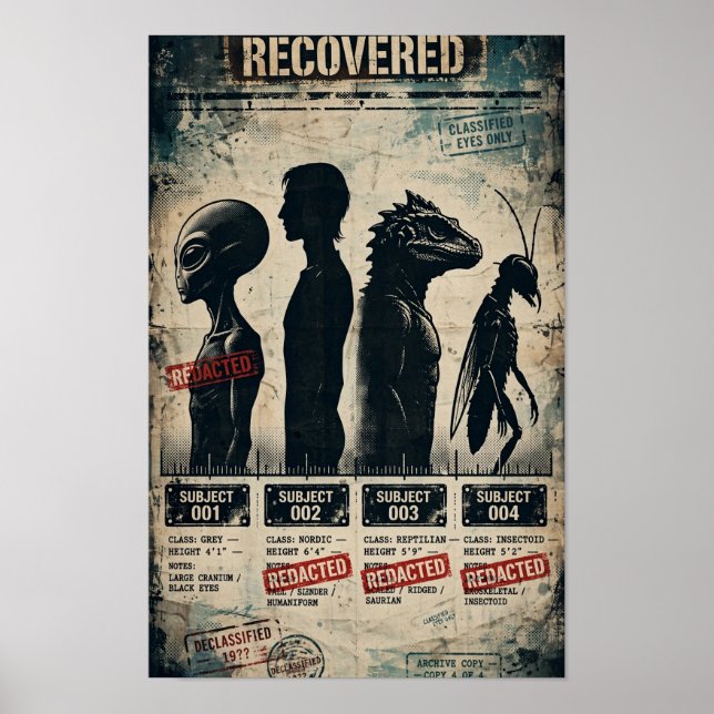 Four Types UFO Disclosure Lineup Poster (Front)
