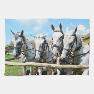 Four wonderful horses tea towel