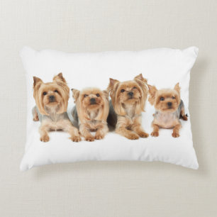 Four yorkies decorative cushion