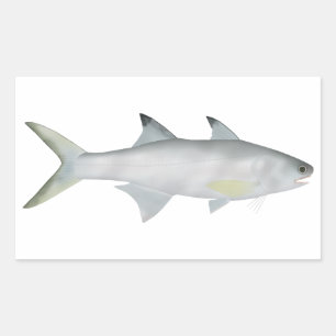 Fourfinger Threadfin Rectangular Sticker