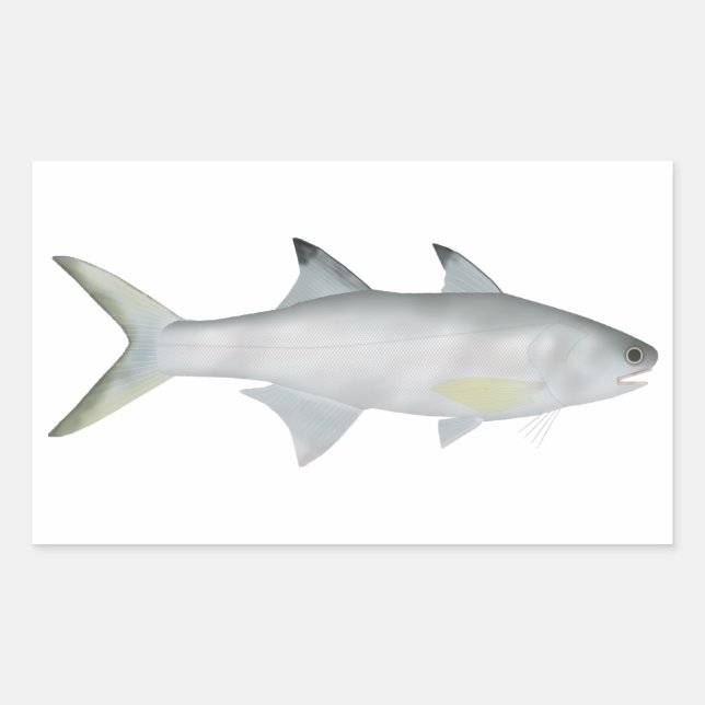 Fourfinger Threadfin Rectangular Sticker (Front)