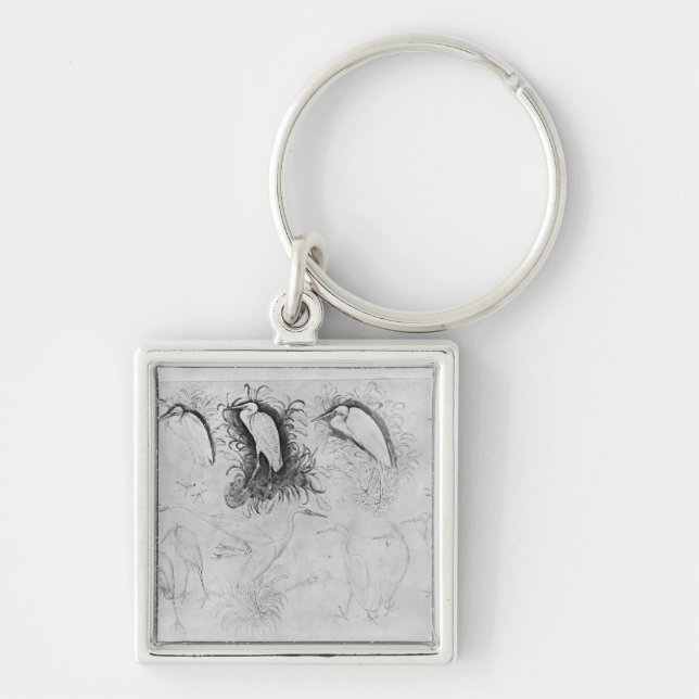 Fourteen egrets, from the The Vallardi Album Key Ring (Front)