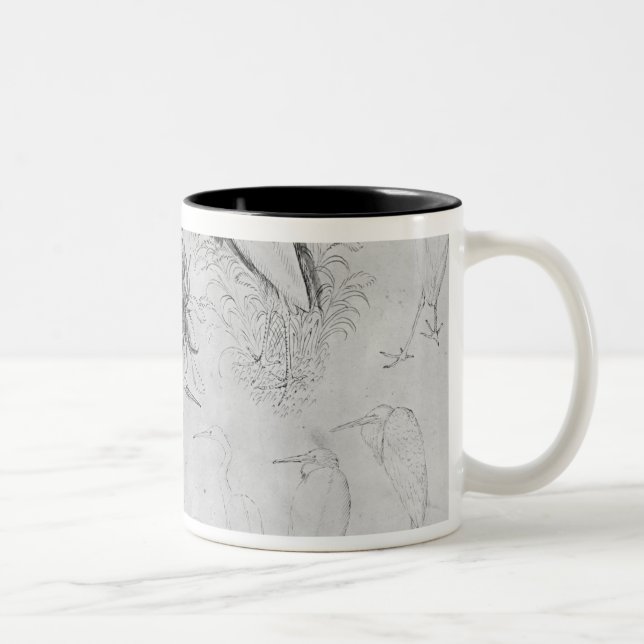 Fourteen egrets, from the The Vallardi Album Two-Tone Coffee Mug (Right)