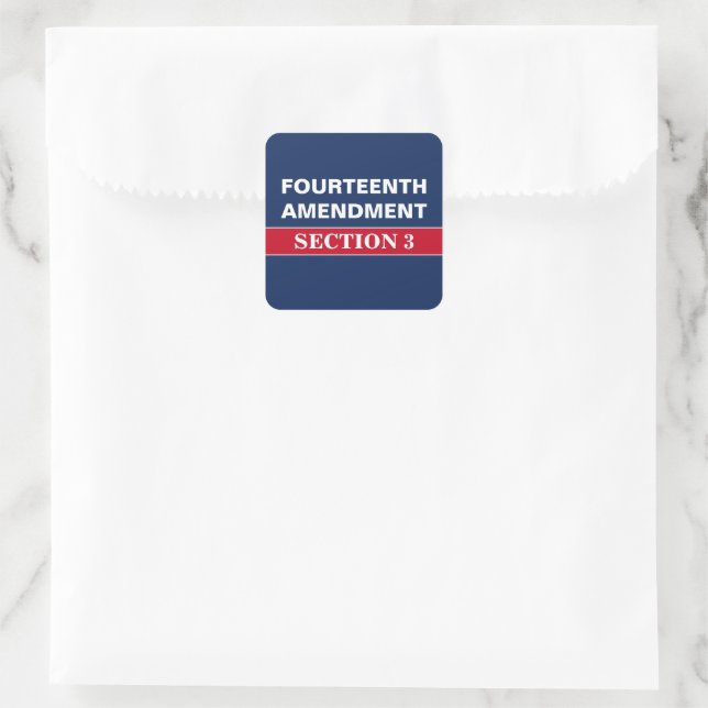 Fourteenth Amendment Section 3 Constitution Square Sticker (Bag)