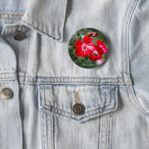 Fourth of July Shrub 6 Cm Round Badge