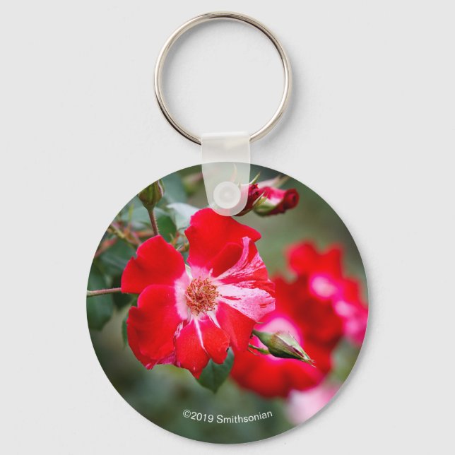 Fourth of July Shrub Key Ring (Front)
